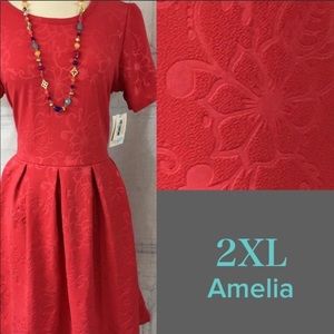 New 2xl Amelia